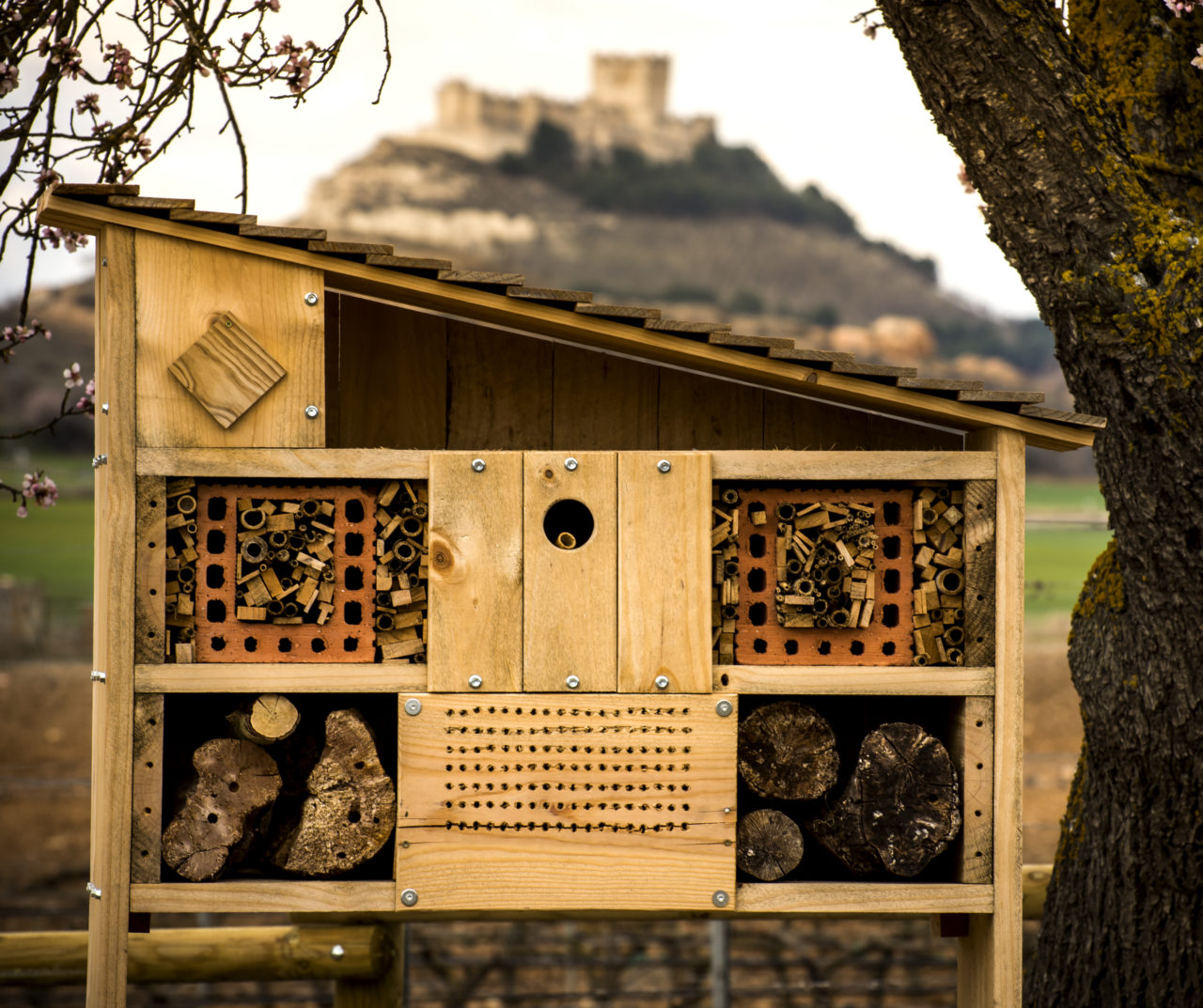 Hotel de insectos