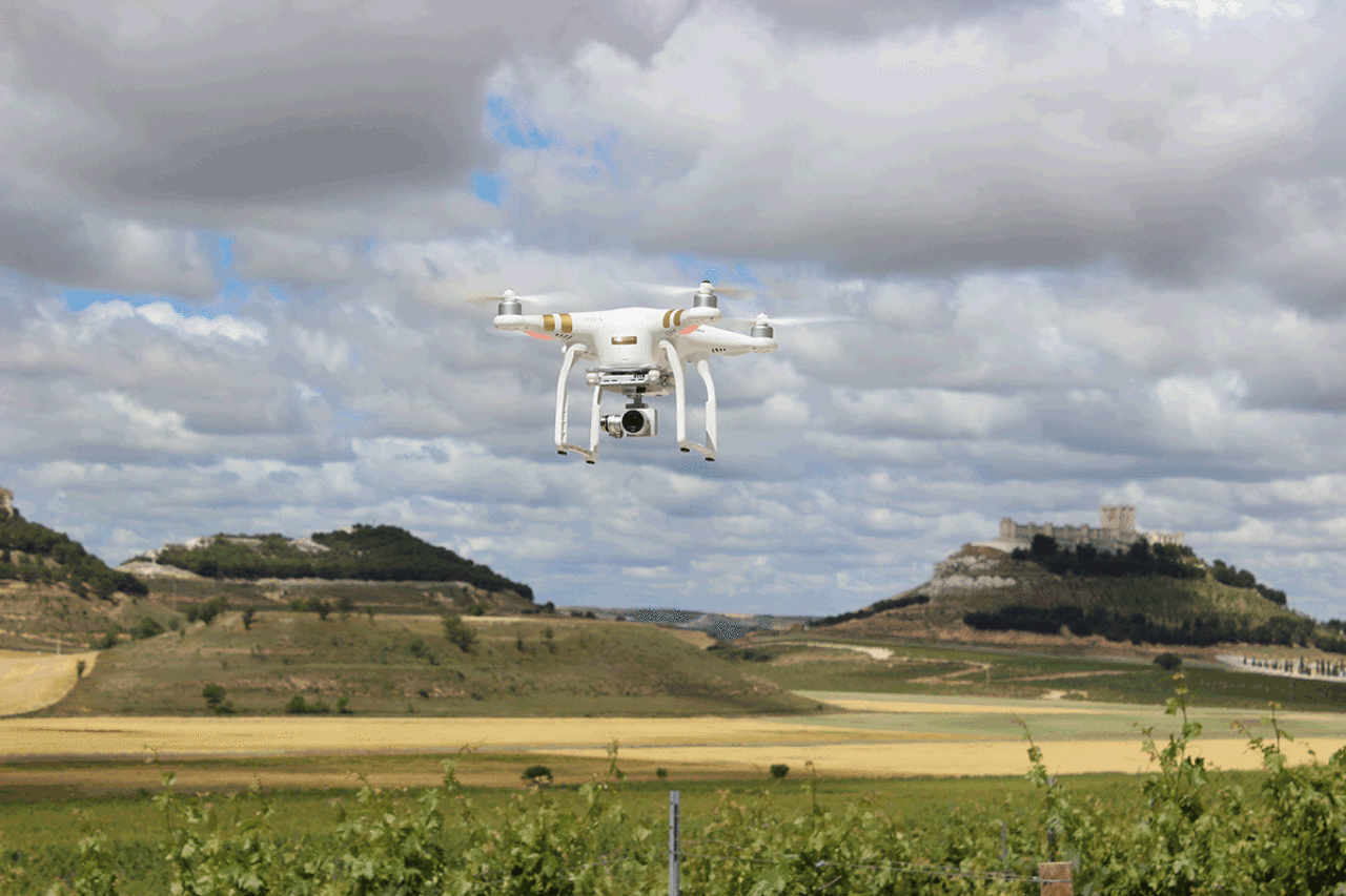 Dron Dron