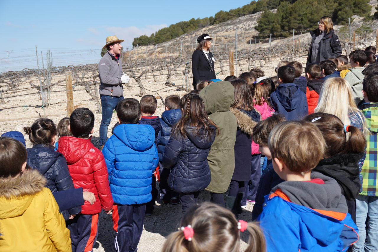 Visita Infantil Carraovejas