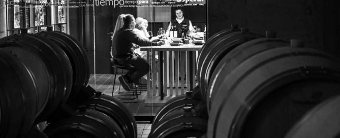 visitar bodega Ribera del Duero